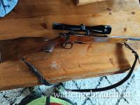 Steyr Mannlicher 243