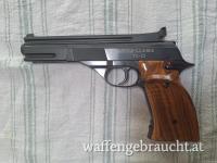 6 Zoll Präzisionspistole 22 lr