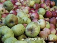 Wildfutter - Äpfel zur Wildfütterung