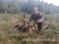 Kapitäne Brunftjagd in Polen FREIE TERMINE 