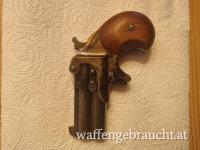 Derringer 357 Magnum