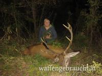 Rothirschjagd im Ungarn raum Plattensee