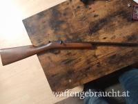 Kleinkaliber Gewehr