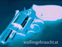 RARITÄT! SMITH & WESSON 66 | Kal.357 Magnum_LETZTE ALTE Ausführungsqualität!