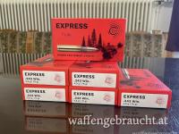 Geco Express im Kaliber .243 Winchester mit 4,9g/76gr