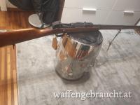 Werder-Gewehr Steyr M1869 neuer Art